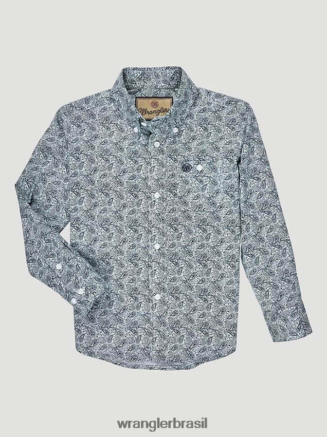 verdadeiro paisley aqua (112327841)