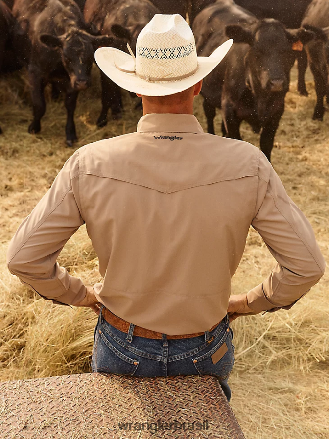 Wrangler camisa lisa de manga comprida com pressão de desempenho nublado (112323768) homens roupas 00LN6N432