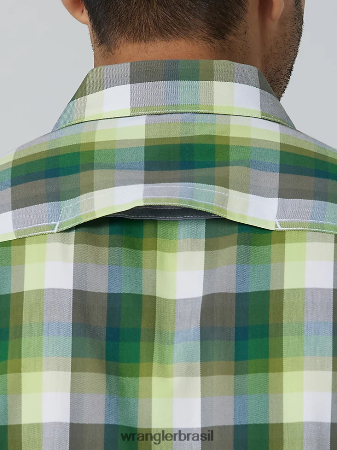 Wrangler camisa xadrez ecológica de manga curta para acampamento floresta de ametista (112336161) homens roupas 00LN6N399