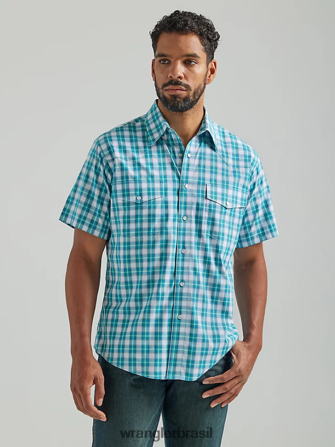 verde-azulado (112324685)